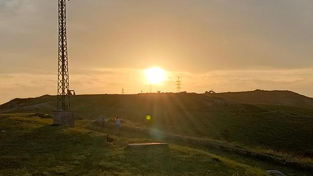 Posted media